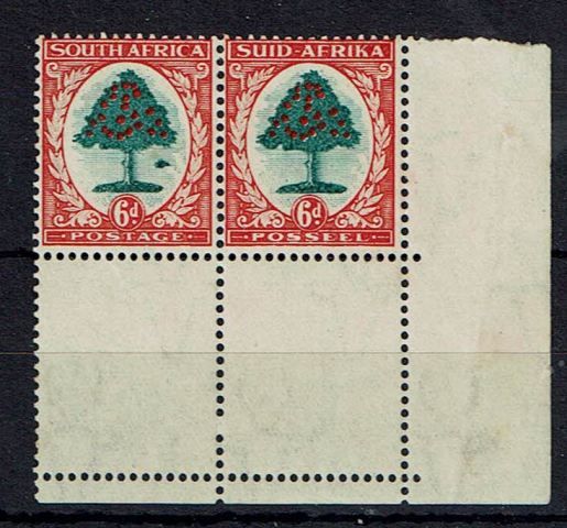 Image of South Africa SG 61b UMM British Commonwealth Stamp